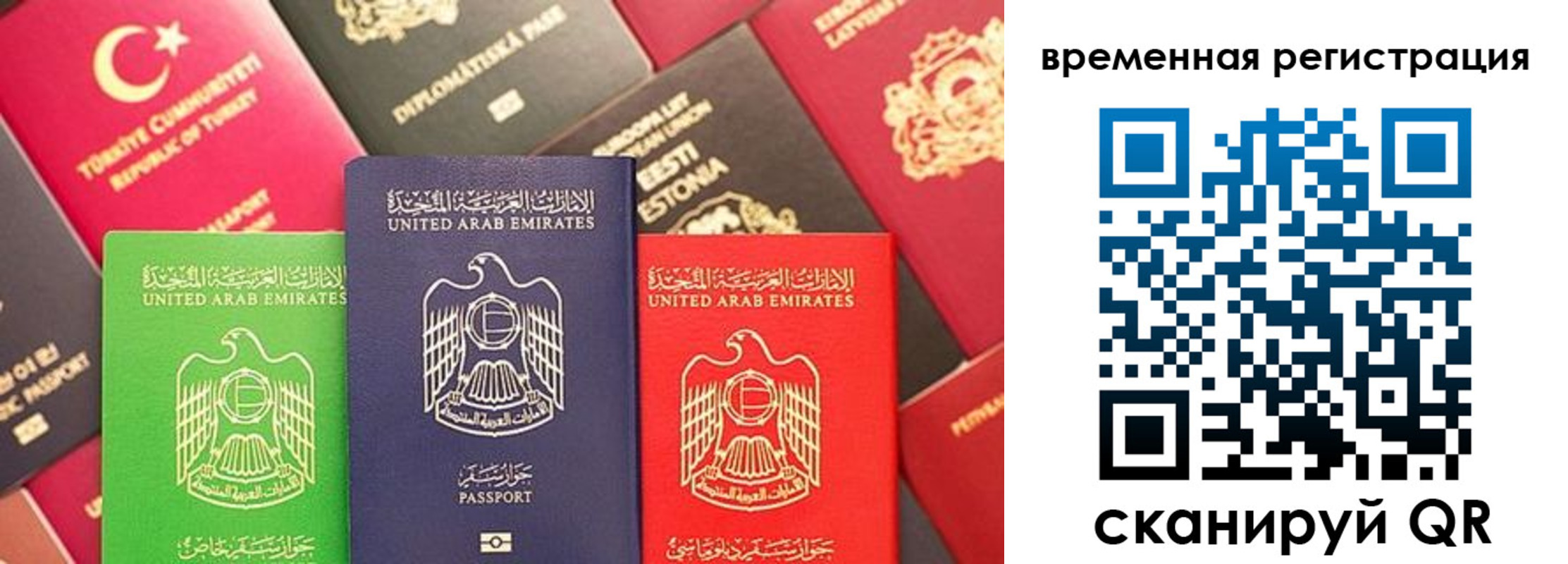 временная регистрация гарантия в Тогучине